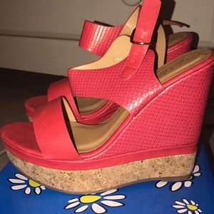 Red wedges